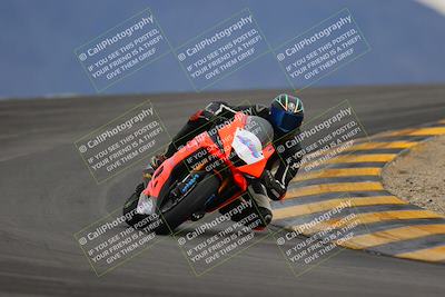 media/Jan-14-2023-SoCal Trackdays (Sat) [[497694156f]]/Turn 12 (120pm)/